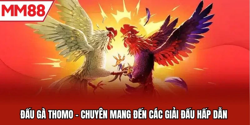 Đấu gà Thomo - Chuyên mang đến các giải đấu hấp dẫn 