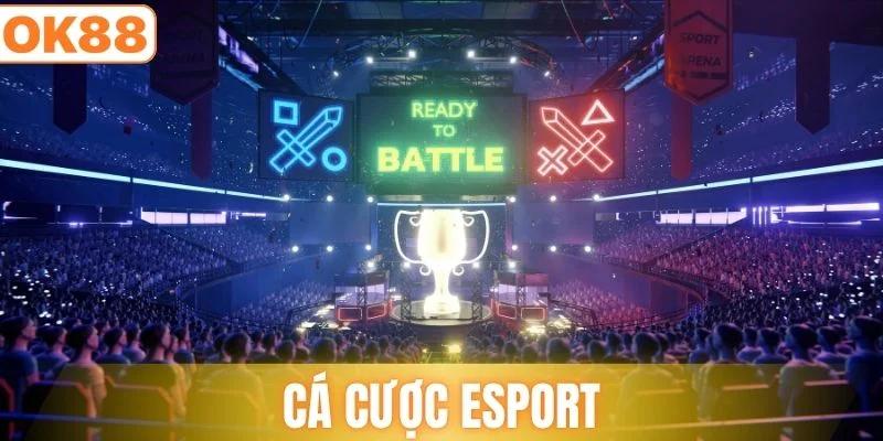 Cược Esport