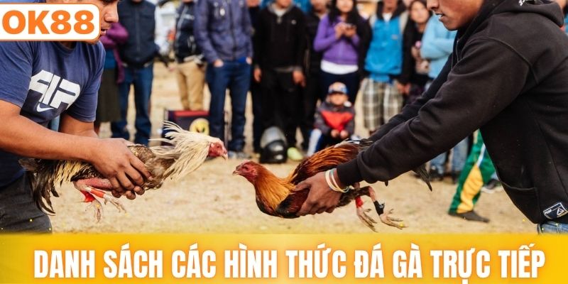 Danh sách các hình thức đá gà trực tiếp ấn tượng