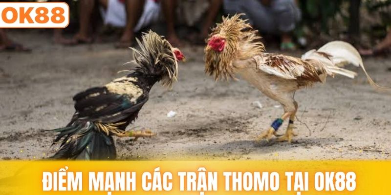 Điểm mạnh khi theo dõi các trận Thomo tại OK88